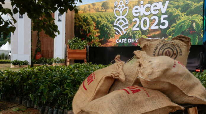 Exportación de café se incrementó este año un 500 % más que en 2024
