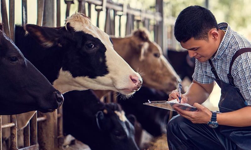 Presentan a productores plan de Inteligencia Artificial y Drones para disparar la producción de leche y reducir costos