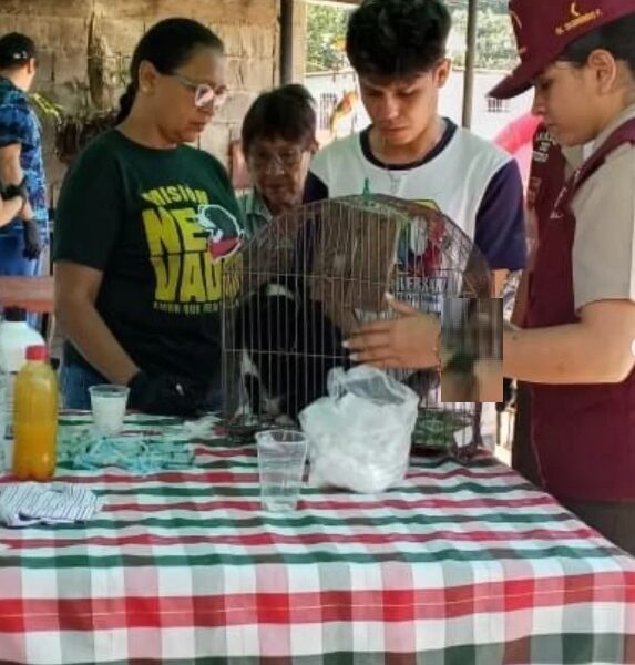 Salud y bienestar animal llegan al corazón andino