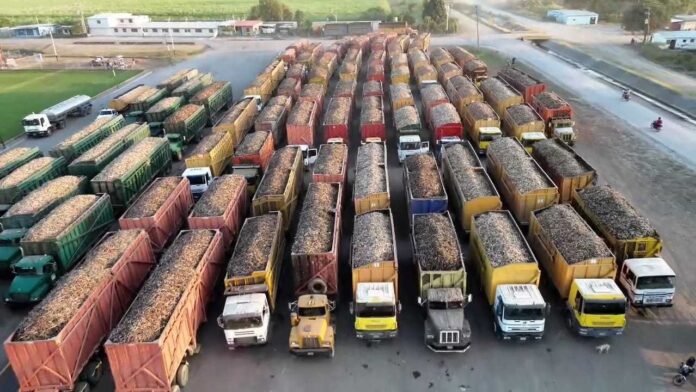 En Portuguesa se registra récord de molienda de caña de azúcar