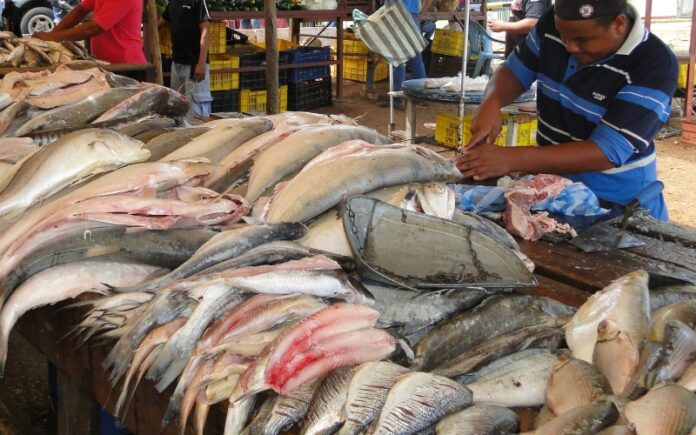 La Guaira exporta más de 100 toneladas de pescado a Europa