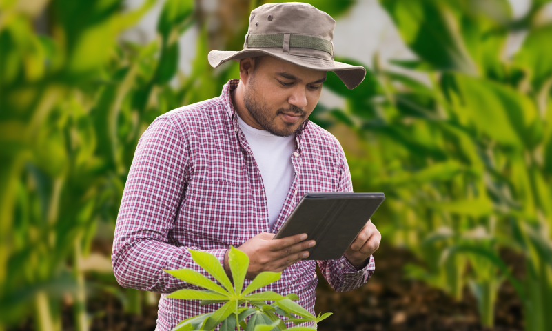 Unellez VPA abre convocatoria para nuevos profesionales del sector agroindustrial y técnico