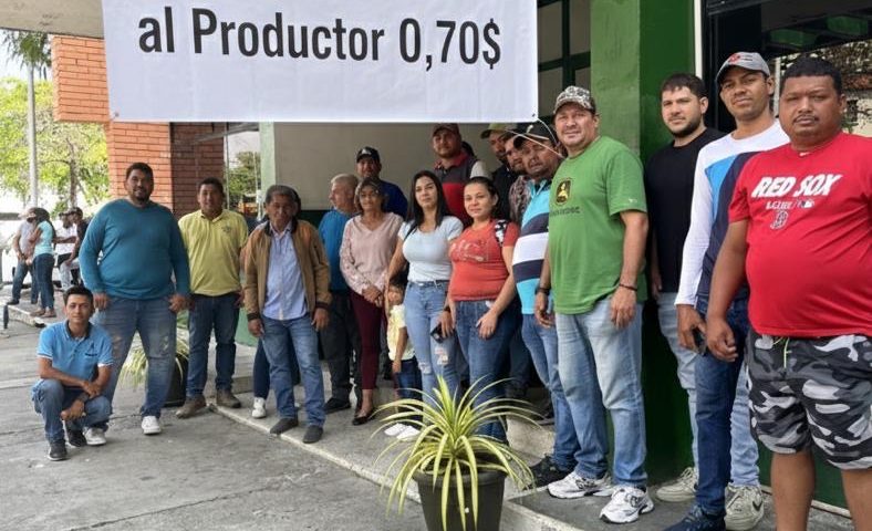 Emergencia arrocera: Productores demandan aranceles a la importación y un precio mínimo de 0,70 centavos para salvar el rubro