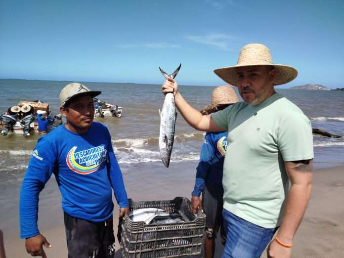 Venta de pescado se mantiene en ascenso en mercados de Maracay