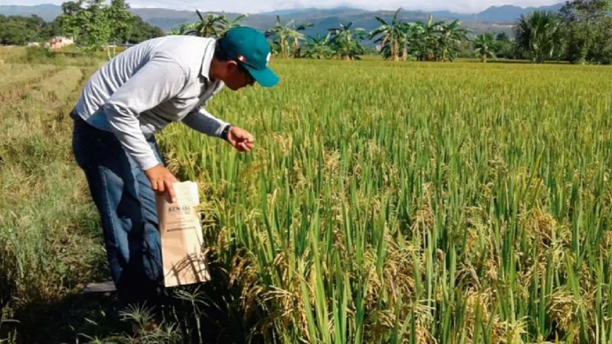 Estiman un crecimiento de 60% en transacciones de Bolpriaven