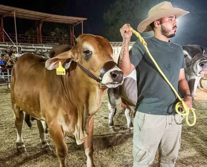Elorza inaugura II Exposición Ganadera con lo mejor de la genética