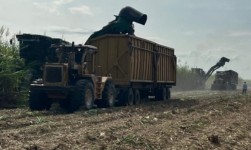 Portuguesa consolida su liderazgo azucarero: Zafra 2025-2026 supera los 3 millones de toneladas molidas