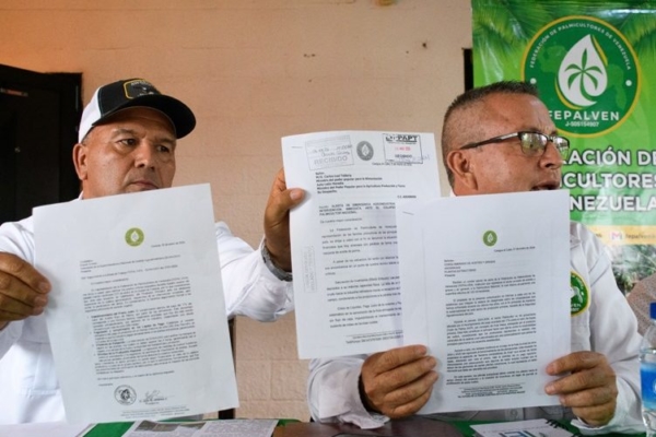 Palmicultores de Venezuela exigen pagos, aumentar producción y nuevos acuerdos con Gobierno ante posible paralización nacional