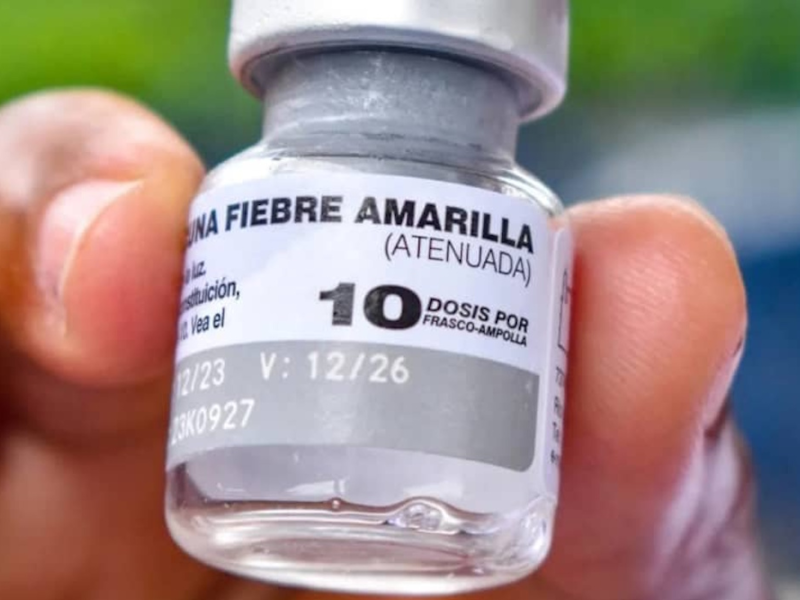 Al menos 70 mil personas de Barinas han sido vacunadas contra la fiebre amarilla en 2026