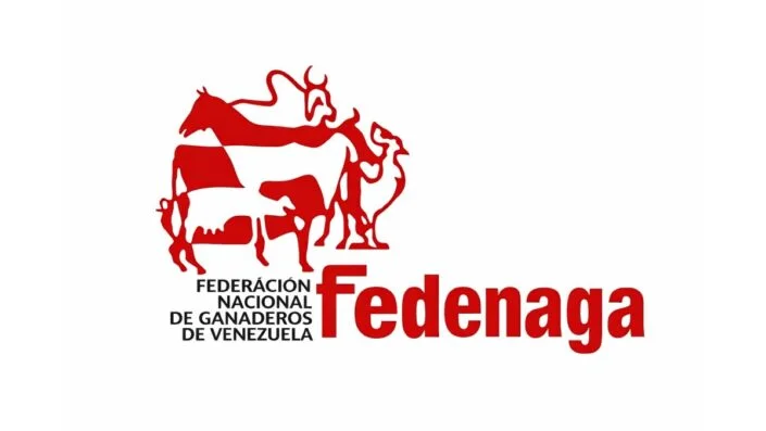 Sacrificio de ganado bovino ronda 1,5 millones de cabezas al año