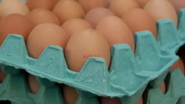 Queso y huevos suben hasta 40% en el oeste de Maracaibo