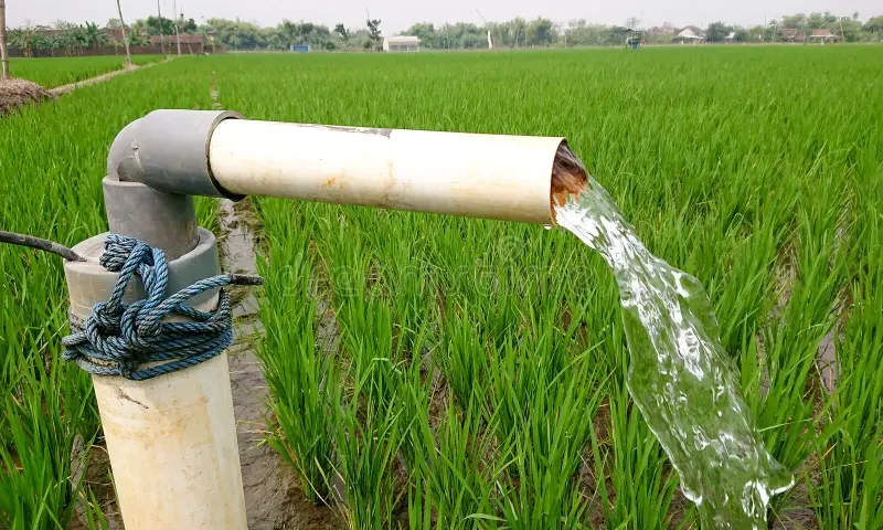 Fevearroz advierte que fallas eléctricas y precios insatisfechos ponen en riesgo ciclo de siembra de invierno