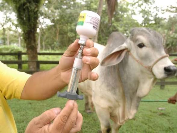 Reactivación de Funvessa permitiría que Venezuela se certifique como país libre de fiebre aftosa