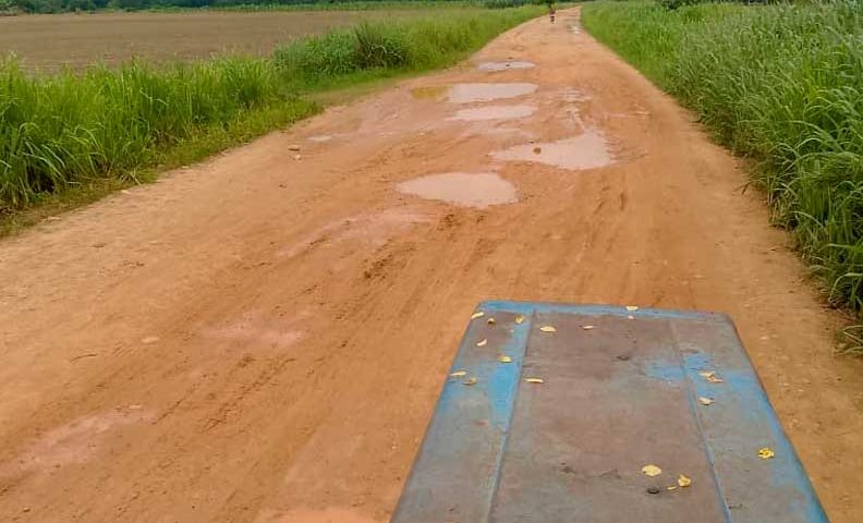 Dirigente solicita declarar «emergencia productiva» en Barinas ante colapso de vialidad e insumos