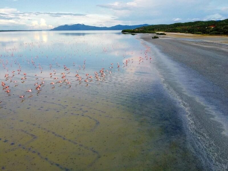 Laguna de Unare nominada a World Travel Awards como destino verde líder