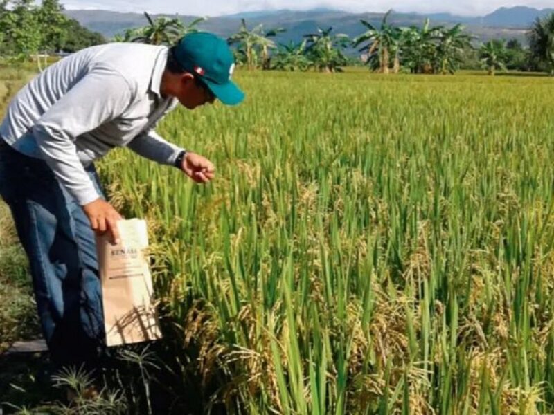 Reiteran que recuperación del campo venezolano requiere $1.500 millones