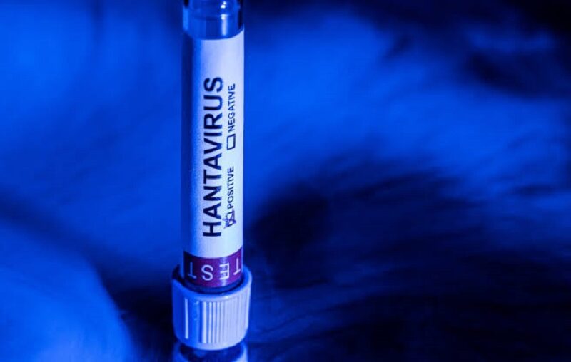 La OMS da por concluido el brote de hantavirus