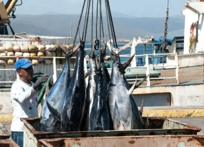 Ministerio de Pesca activa sistema digital para simplificar trámites de los trabajadores del mar