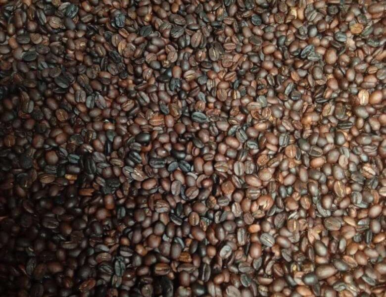 El Hatillo apuesta por producción de café y cacao