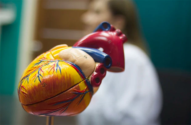 Altas temperaturas provocan aumento de consultas cardiológicas