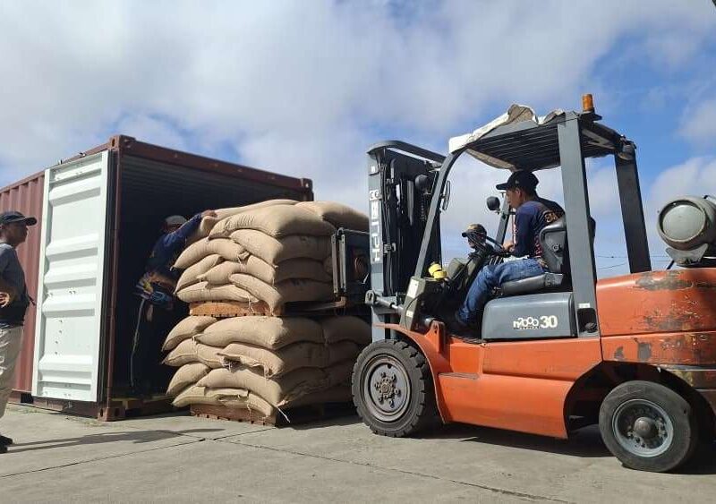 19 toneladas de café verde salieron desde Lara a Estados Unidos
