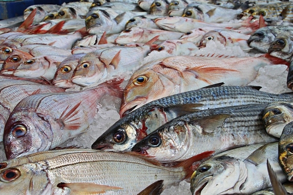 #Dato: El 60% de los restaurantes especializados en pescados y mariscos en La Guaira están abiertos