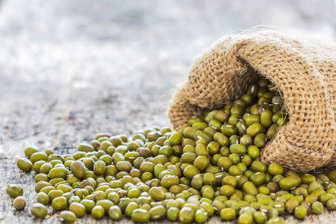 AgriculturaLara exportó más de 43 toneladas de frijol mungo hacia Francia