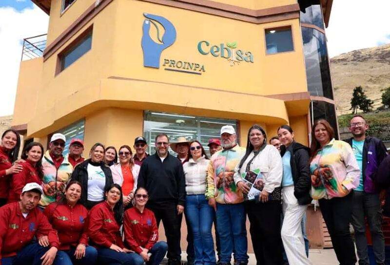 Gobierno fortalece capacidades para la producción de semillas de papa