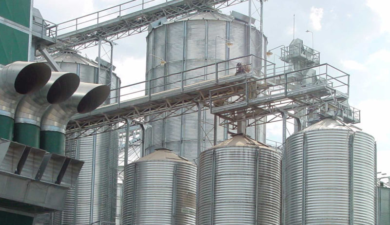 Productores de arroz de Portuguesa confirman la cosecha