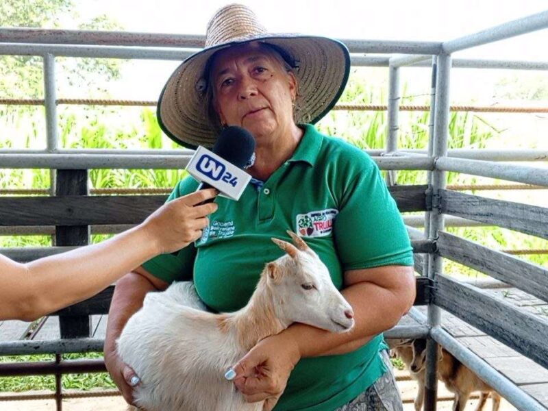 Trujillo apuesta por la producción caprina y ovina