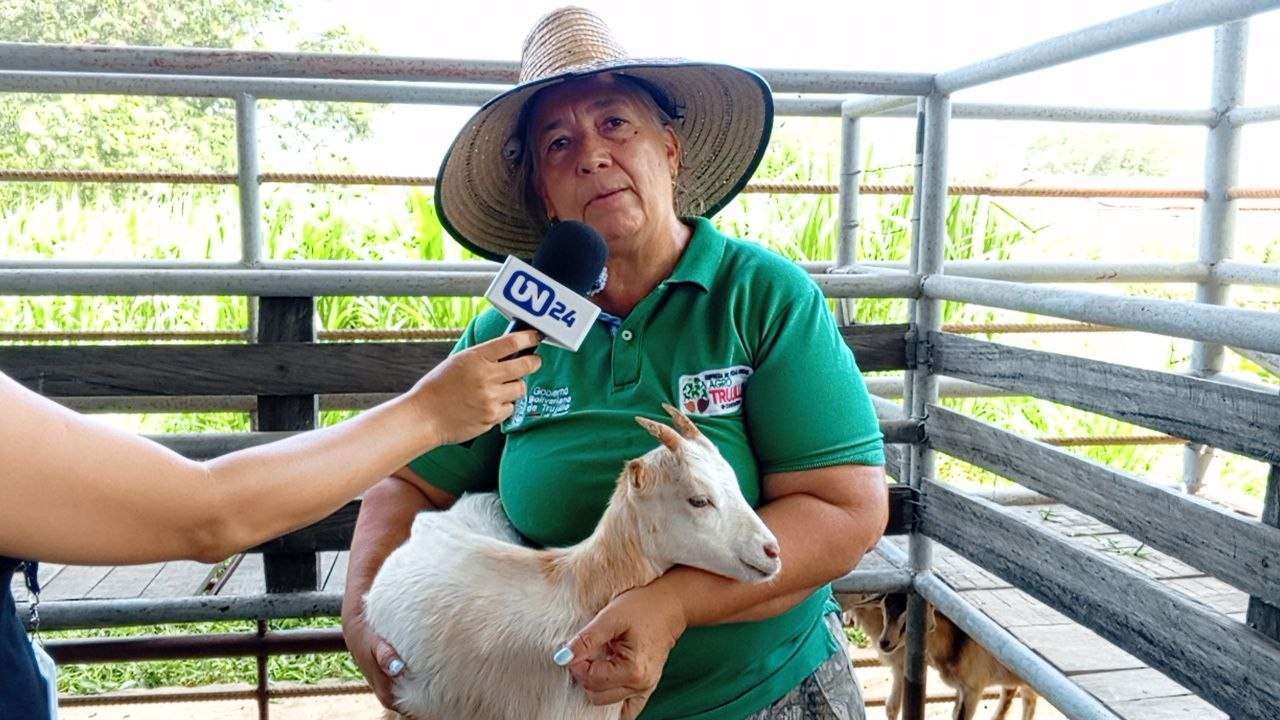 Trujillo apuesta por la producción caprina y ovina