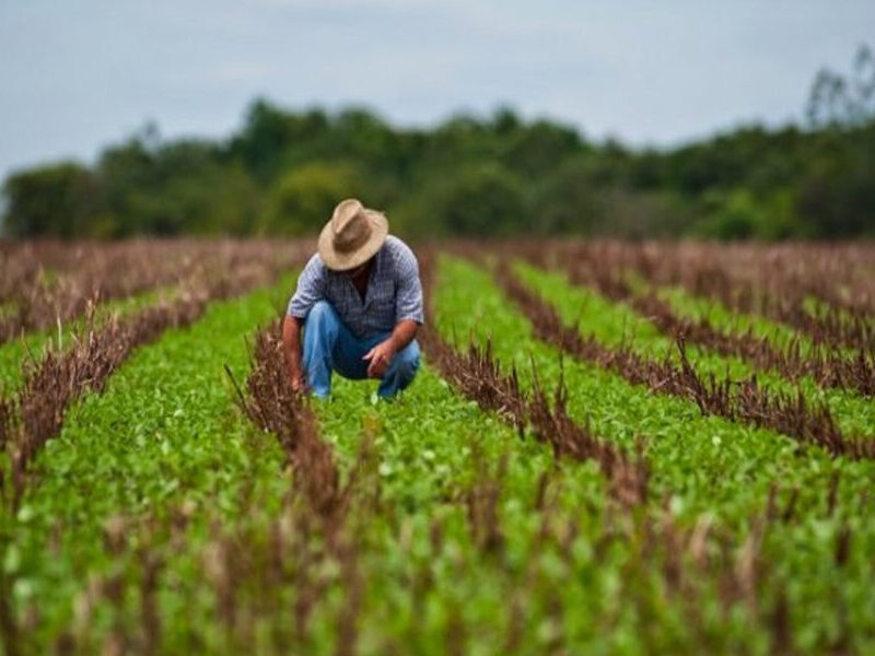 Gremios agropecuarios piden inversión ante nuevo acuerdo petrolero EE. UU.