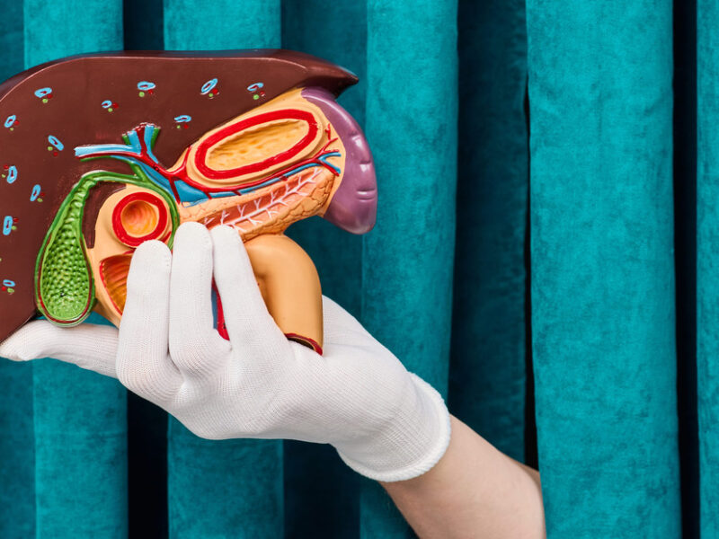 No solo importa qué se come: La hora de las comidas podría afectar nuestra salud