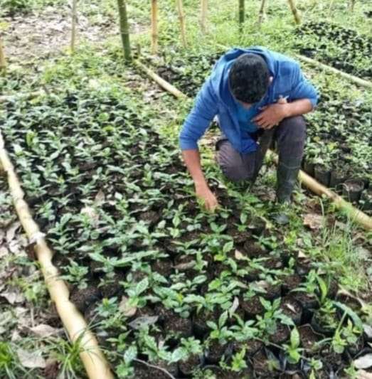 Agricultura simplifica trámites para insumos agrícolas y orgánicos