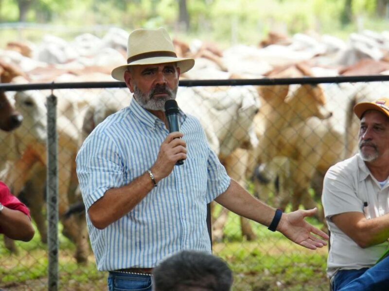 Regularizan más de 150.000 hectáreas agrícolas en cinco estados de los Llanos venezolanos