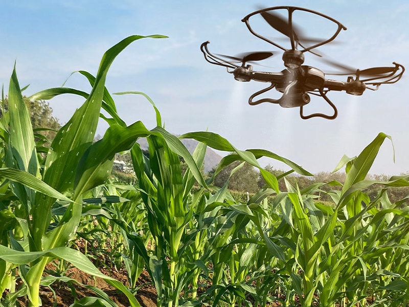 Levantan suspensión de drones para fertilización y monitoreo