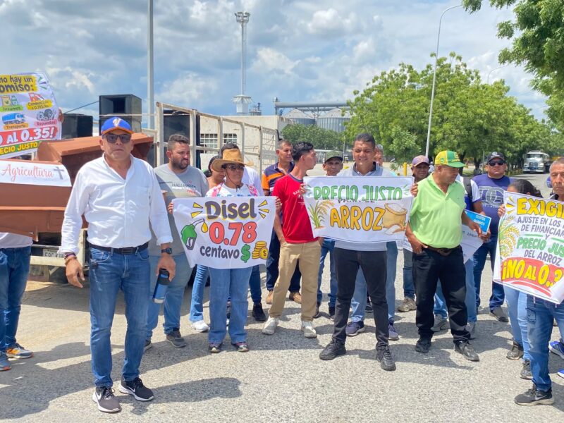Arroceros denuncian pérdidas y mantienen vigilia a la espera de soluciones gubernamentales e industriales