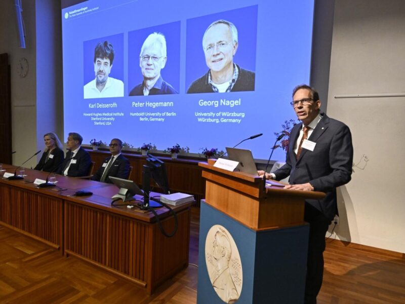 Nobel de Medicina para Deisseroth, Hegemann y Nagel por sus descubrimientos en optogenética